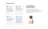 Отраслевой интернет-магазин товаров для животных «Крайт: Зоотовары.Pets»