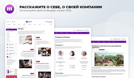 Master 2 в 1: корпоративный сайт + магазин