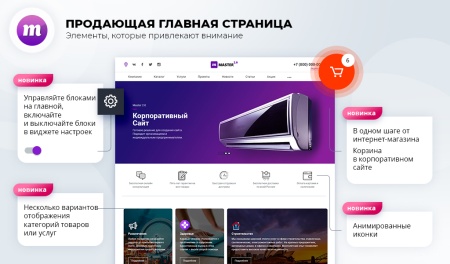 Master 2 в 1: корпоративный сайт + магазин
